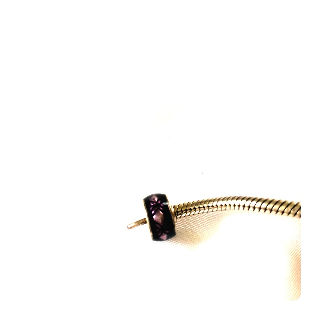 Pandora spacer charm